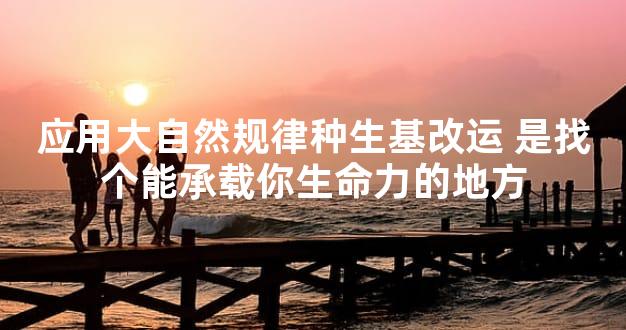 应用大自然规律种生基改运 是找个能承载你生命力的地方